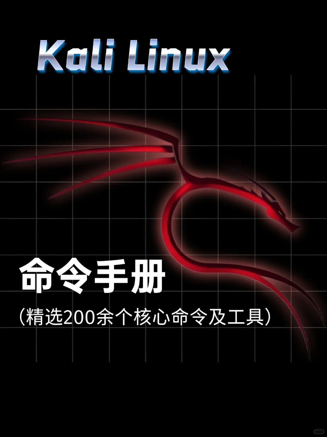 黑客技术--Kali Linux命令手册