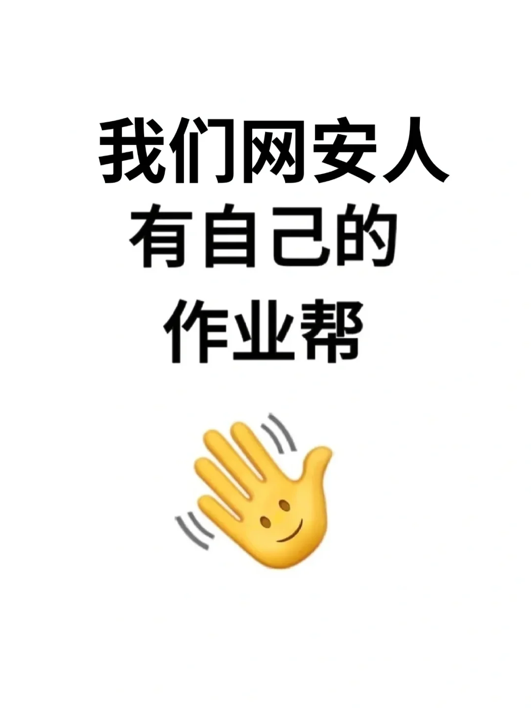 玩呗，我们网安人有自己的作业帮