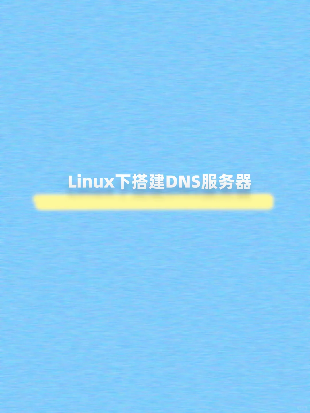 Linux下轻松配置DNS服务
