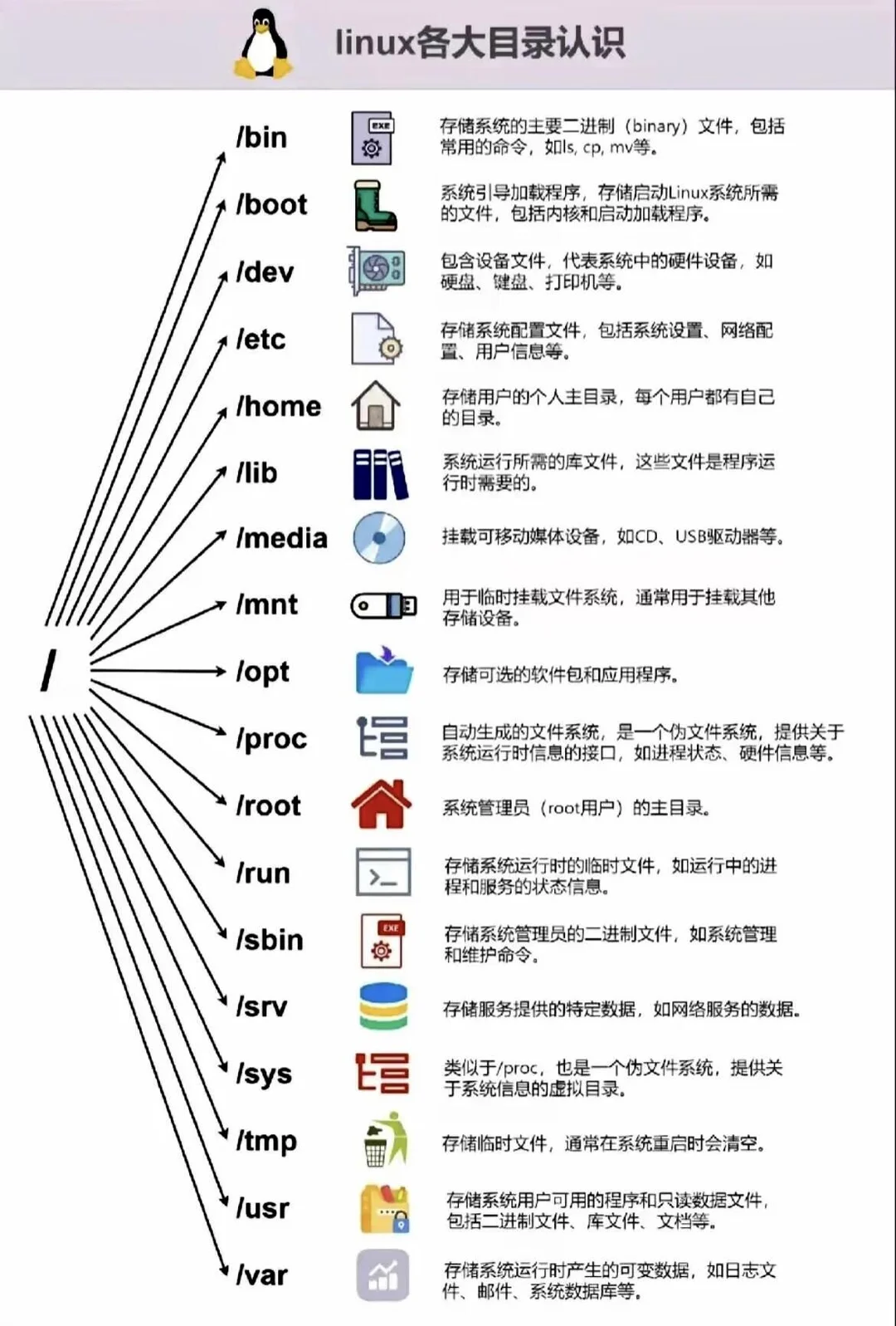 学习一下Linux各大目录🔥🔥🔥