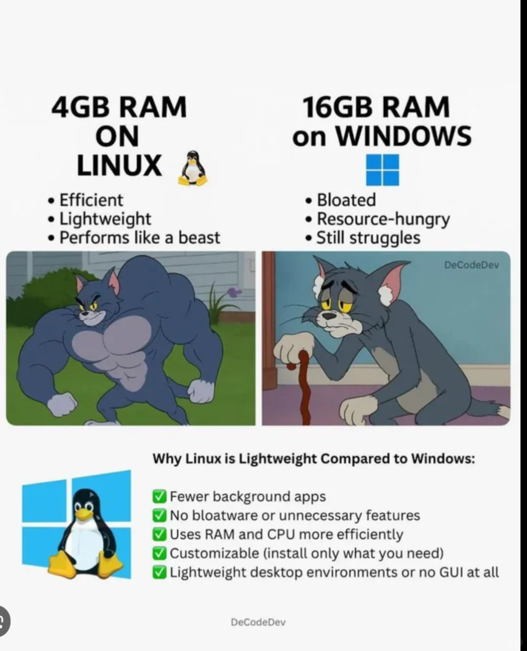 Linux or Windows