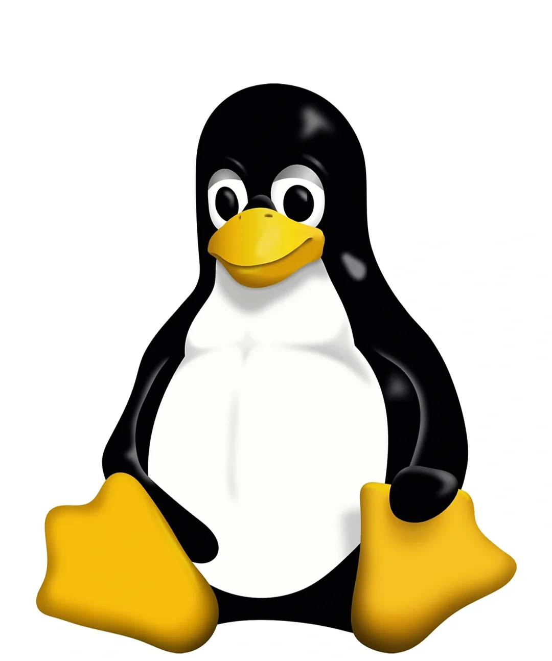 🐧 Linux 系统学习（一）：从入门到访问