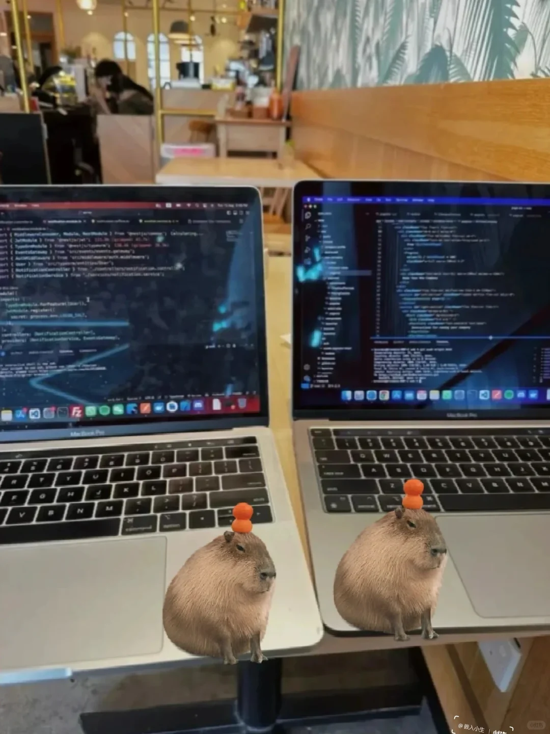 说清楚:Linux应用开发到底是开发什么的？