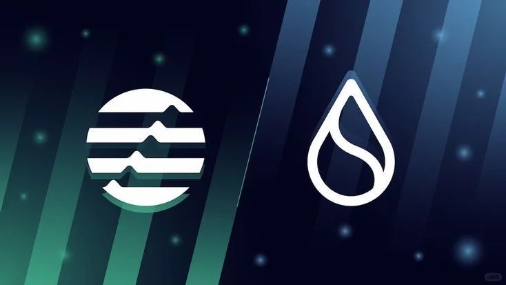 当我用 Move 写链上金融后，我回不去EVM了