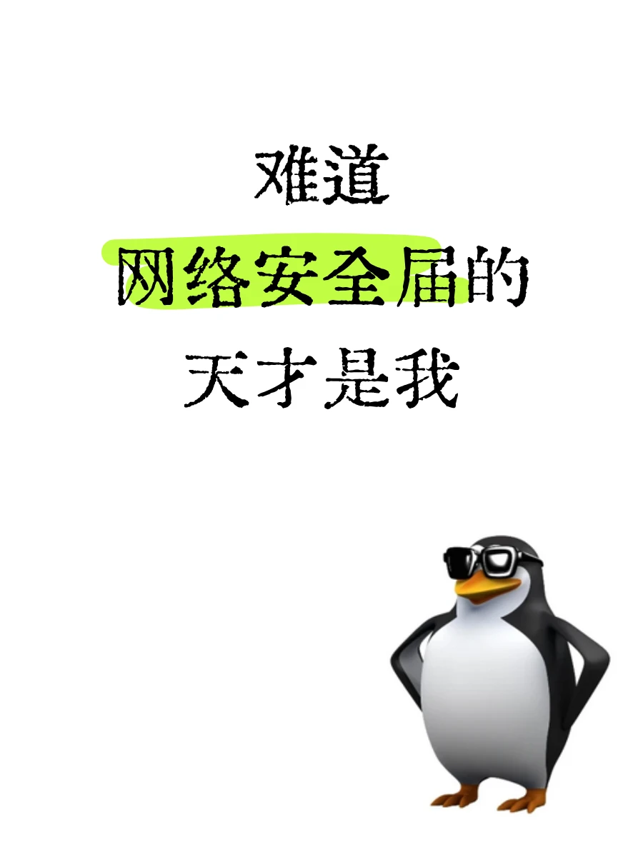 难道网络安全届的天才是我？