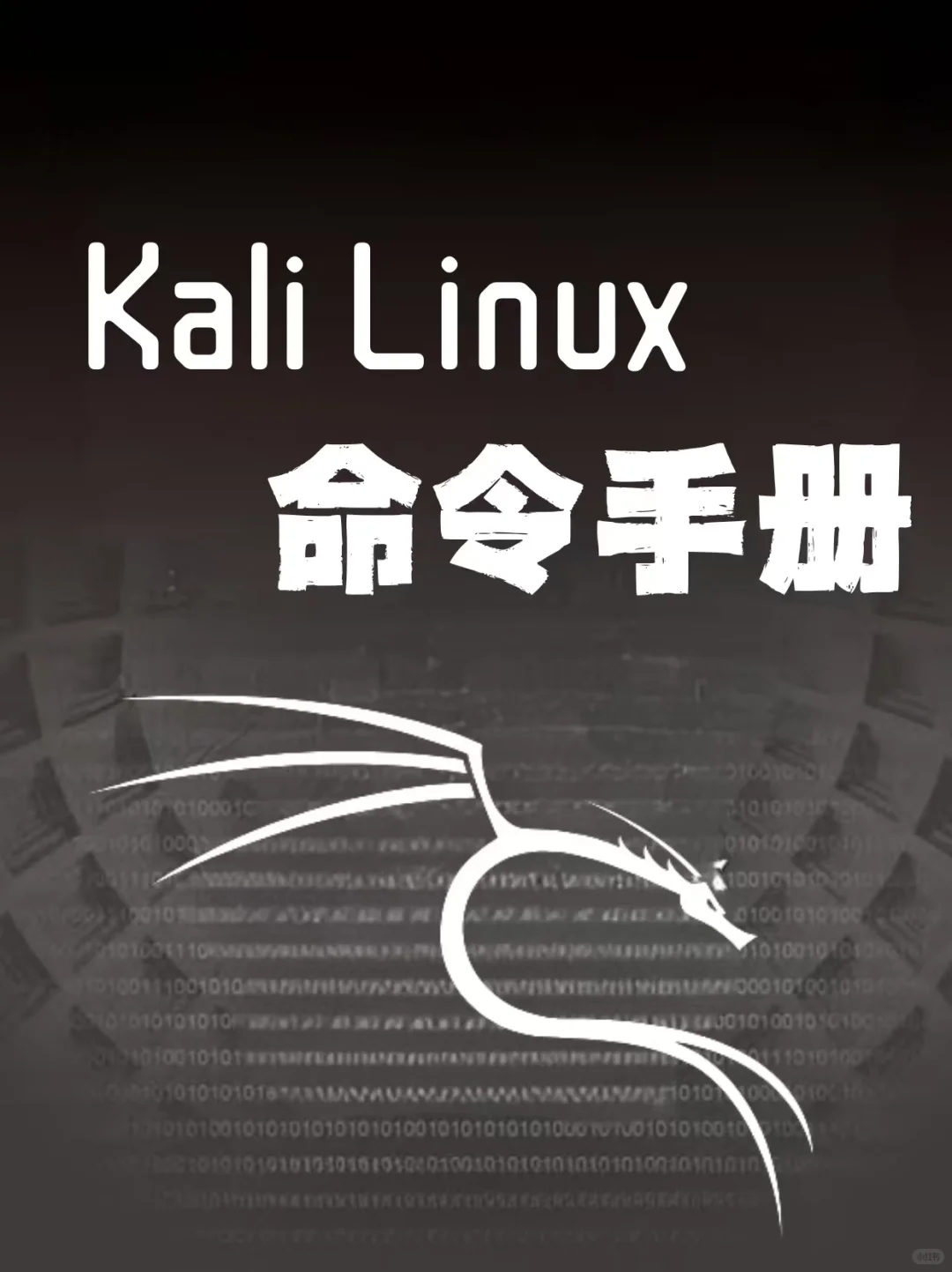 存下吧！这么全的kali linux 命令很难找了