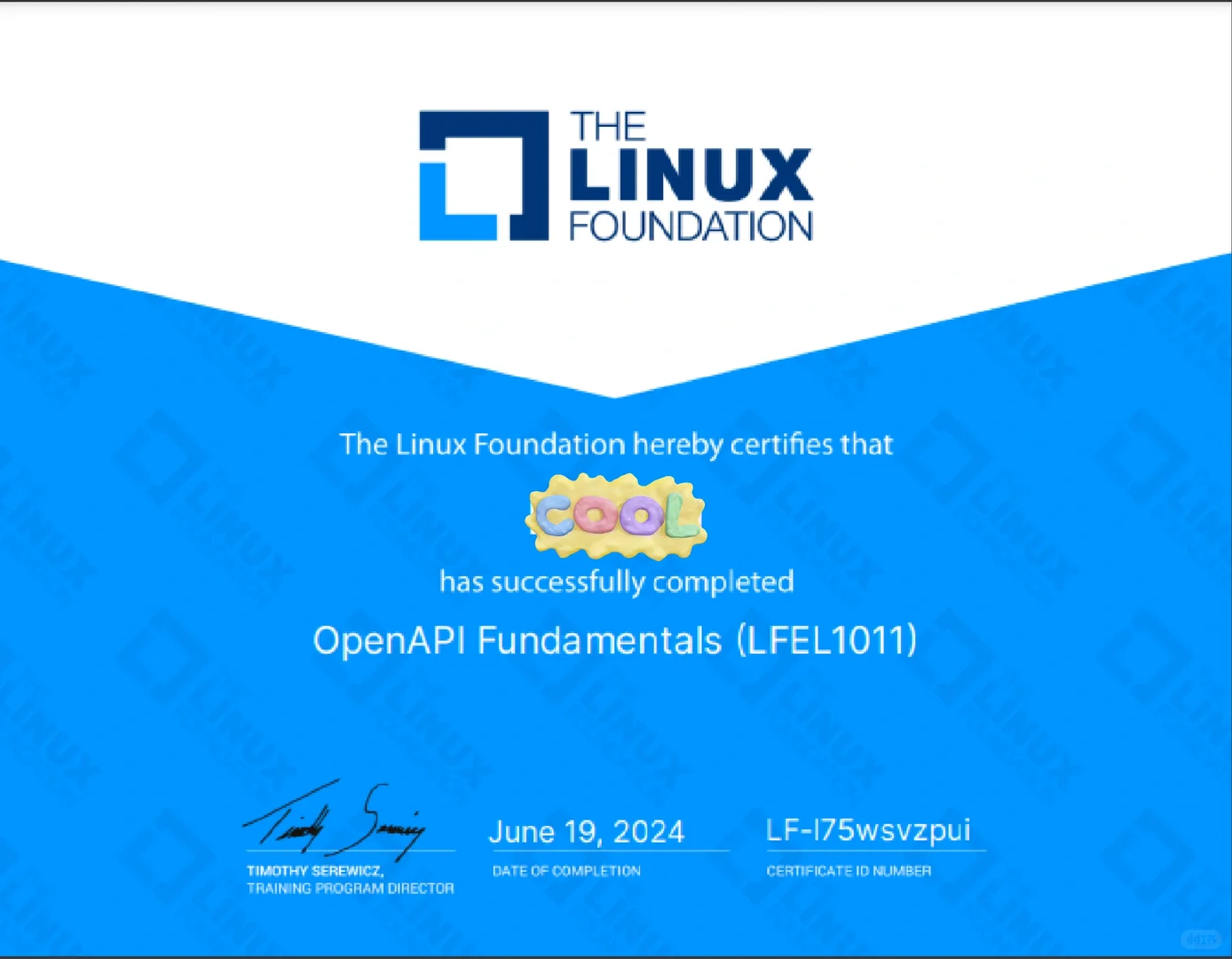 Linux 基金会OpenAPI入门课程结课了