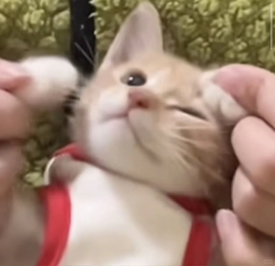 java八股啊啊啊啊啊啊啊啊啊啊啊啊啊啊啊啊