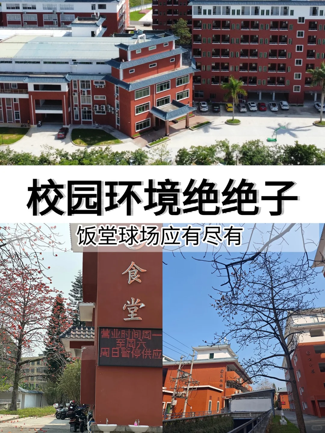 🔥真心建议！转行IT，请大胆尝试嵌入式！