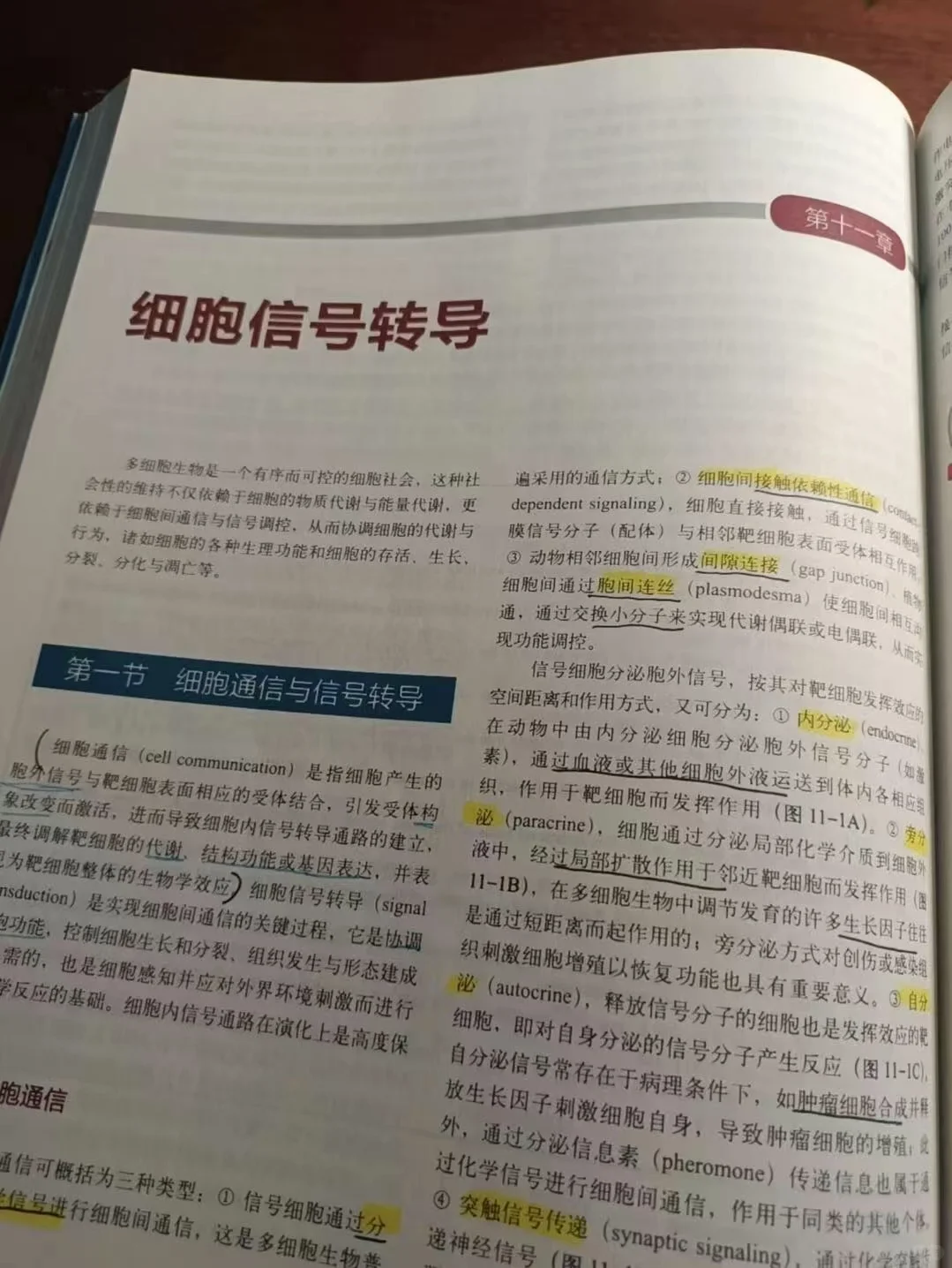 我愿称之为信号通路最伟大的详解