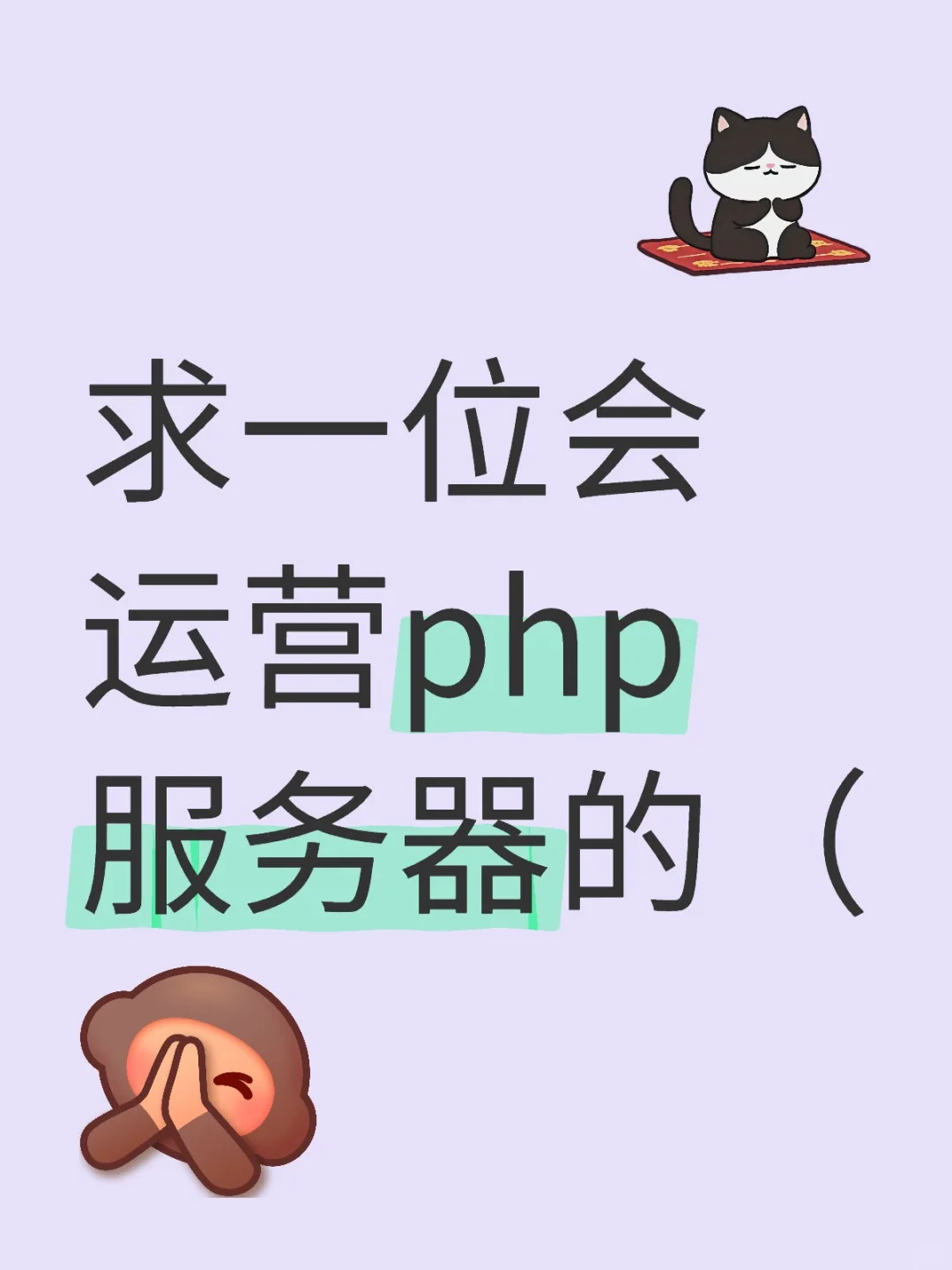 求一位会运营php服务器的