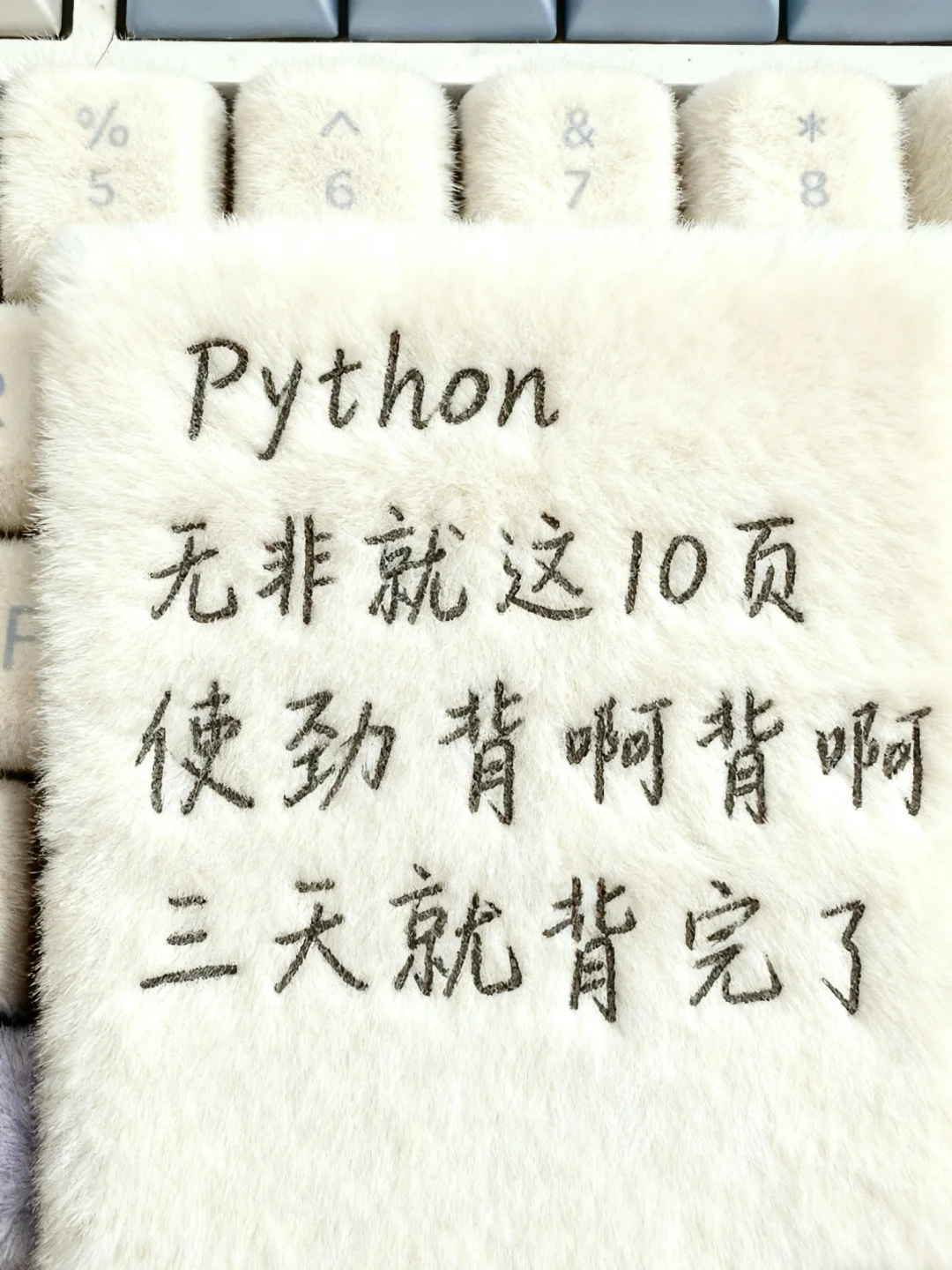 练Python真的好快！
