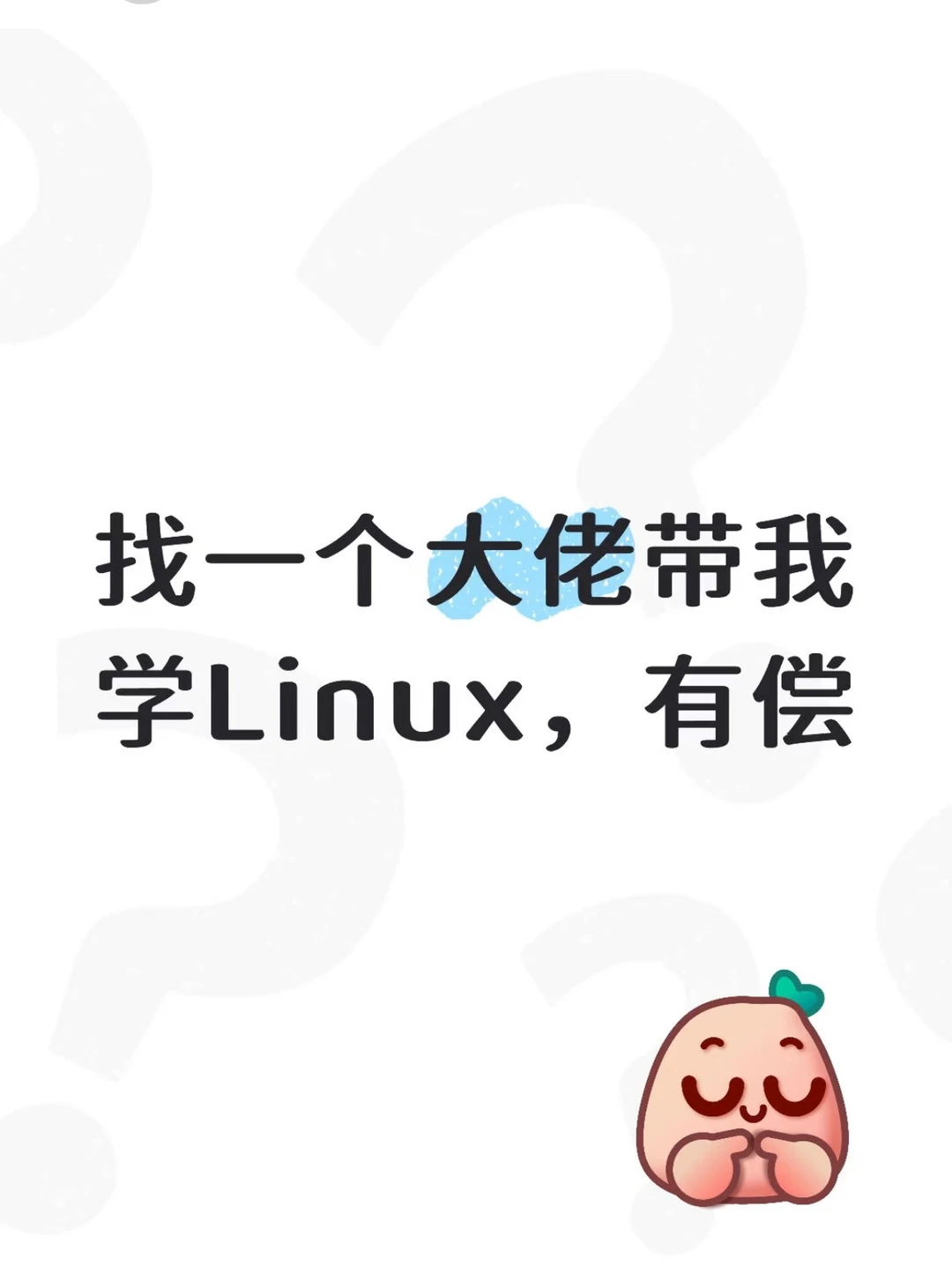 Linux，有大佬愿意教我学和实操吗