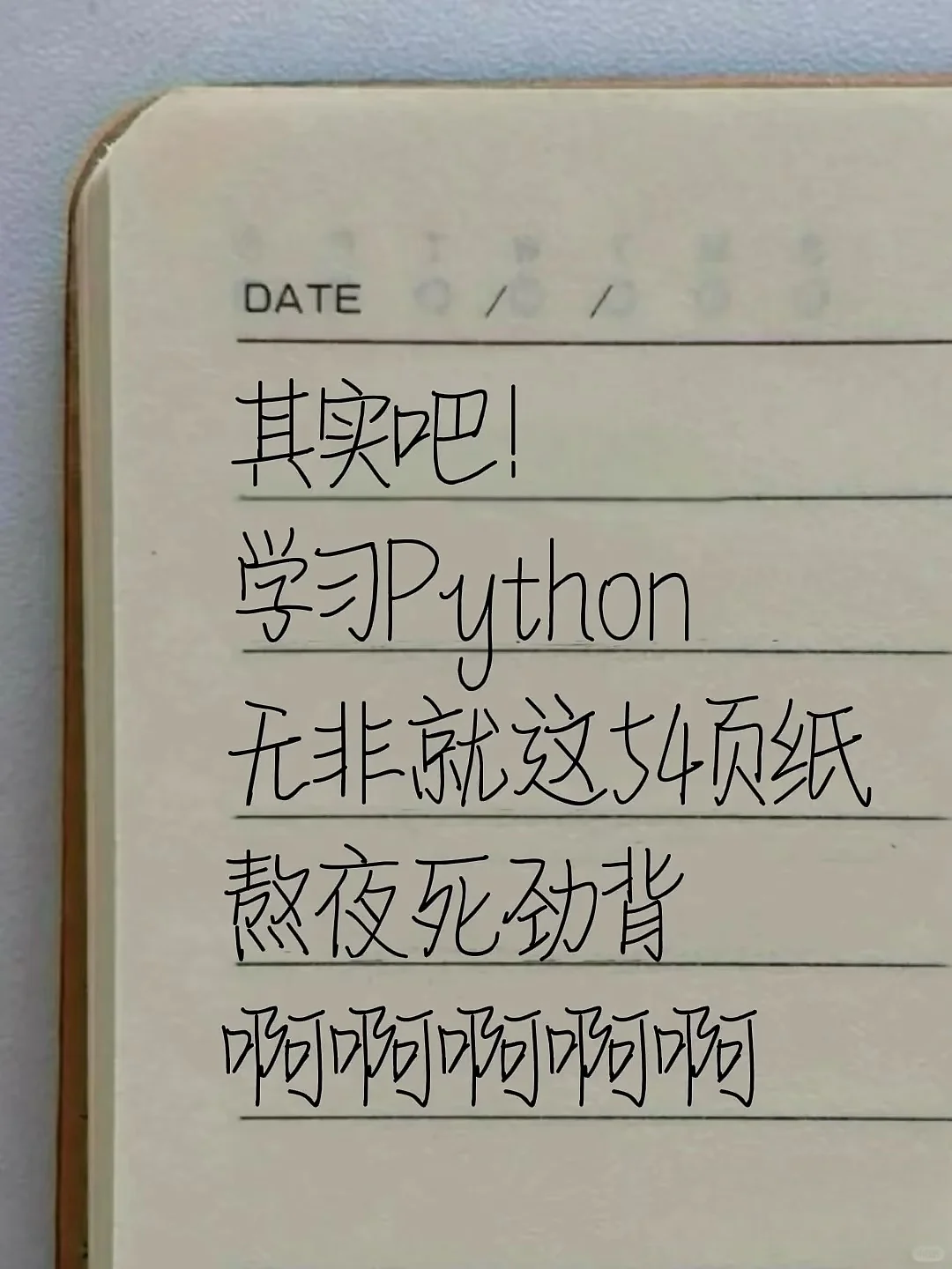 其实学Python无非就是这54页纸，熬夜使劲背