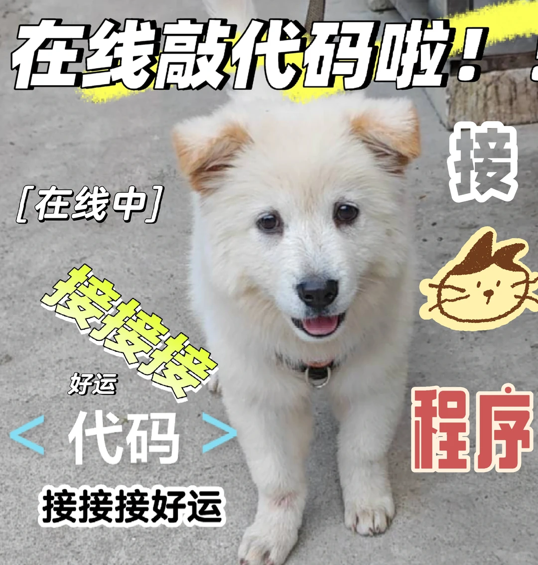 应届生在线敲代码程序！！！