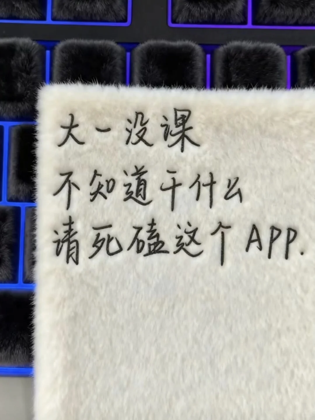 大一没课 不知道干什么 请死磕这个APP