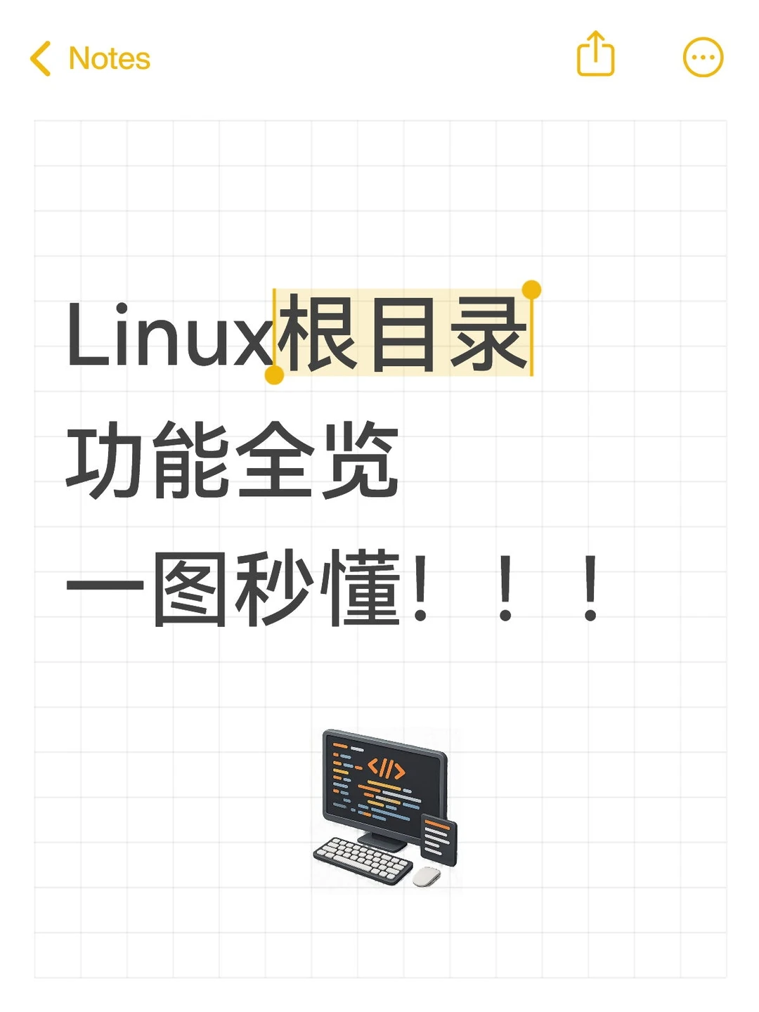 Linux根目录功能全览，一图秒懂✨