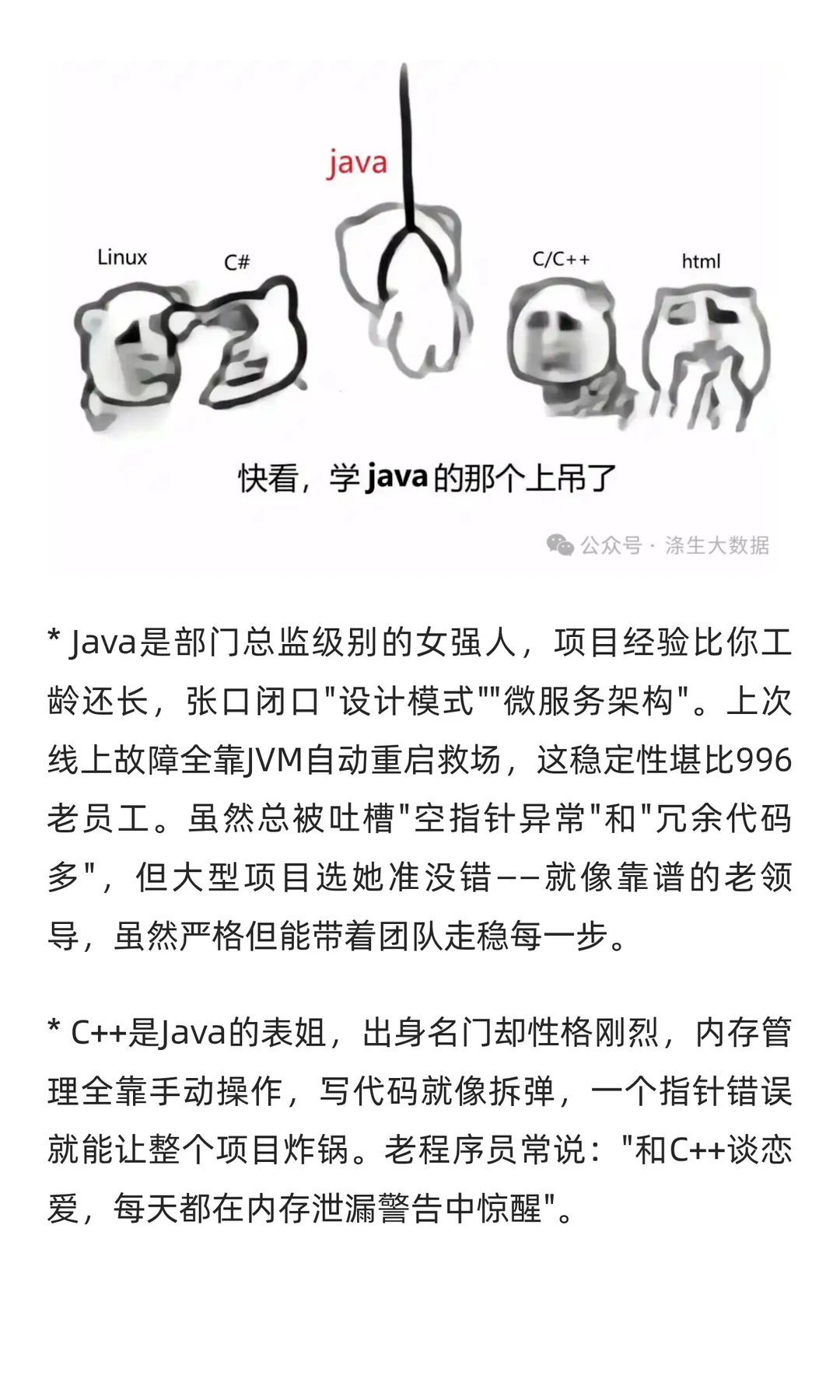 你说程序员要和编程语言谈恋爱？