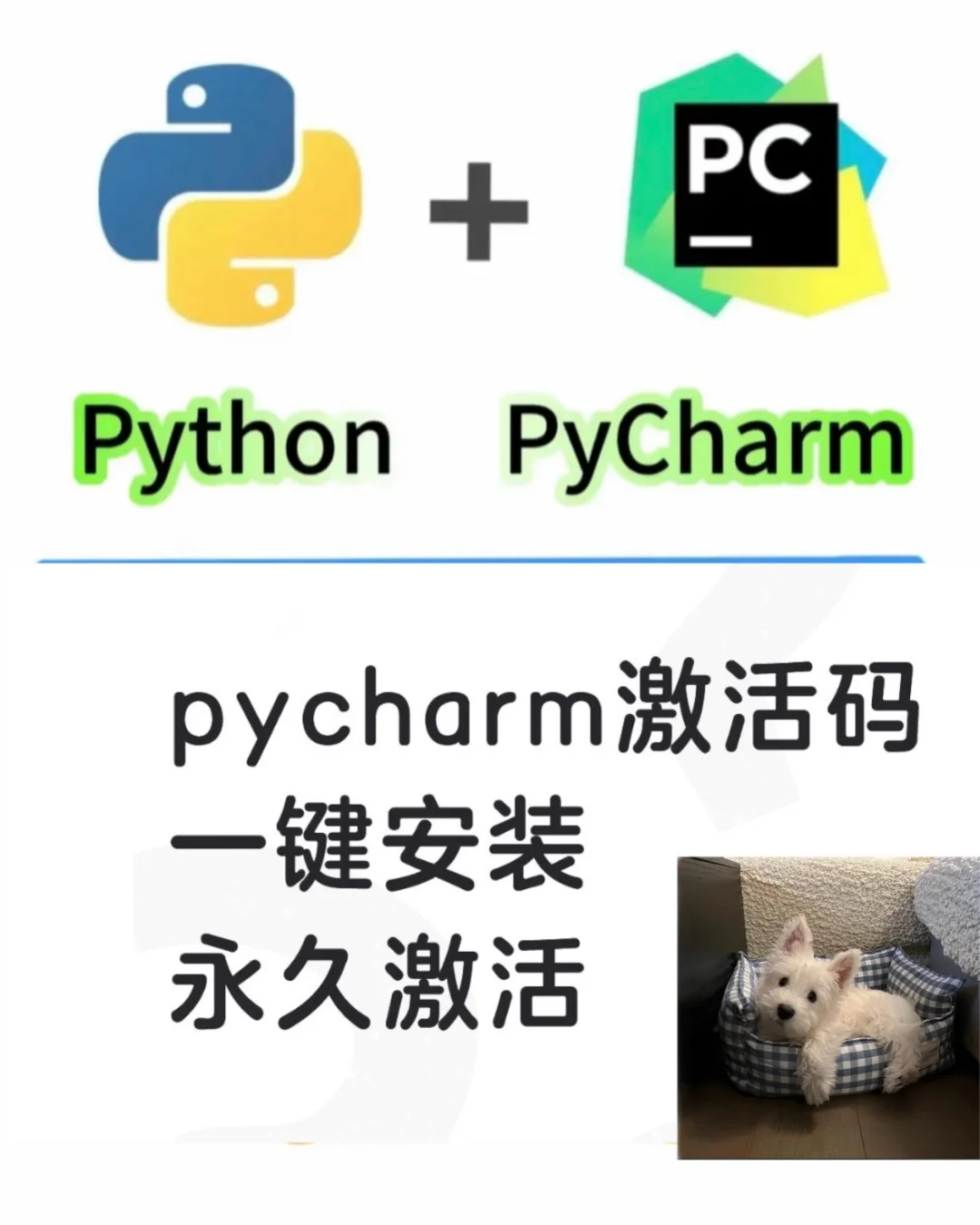 pycharm激活码，永久使用
