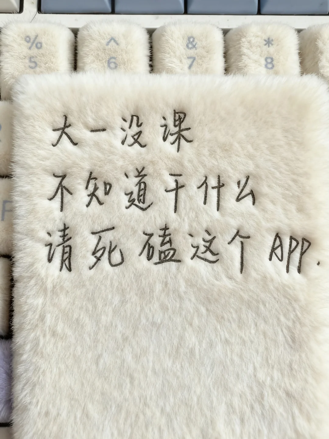 到底谁在用大一没课这个app！！！