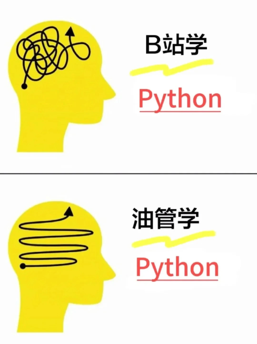 希望所有学Python的都知道10个宝藏博主！