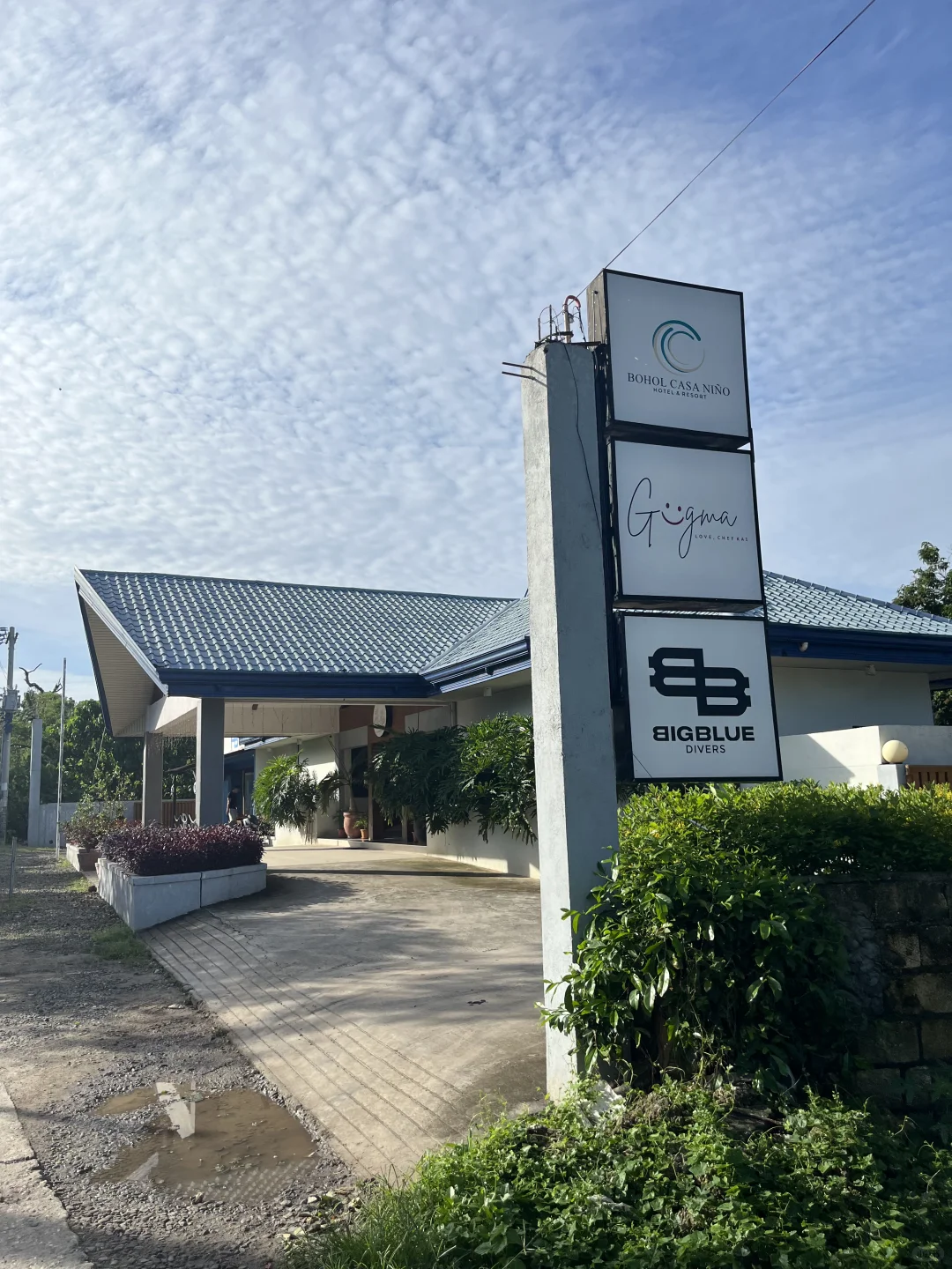 薄荷岛 潜店分享