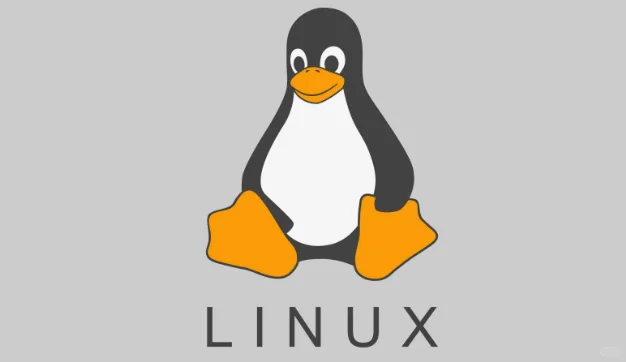 linux实验技术支持,实验代做