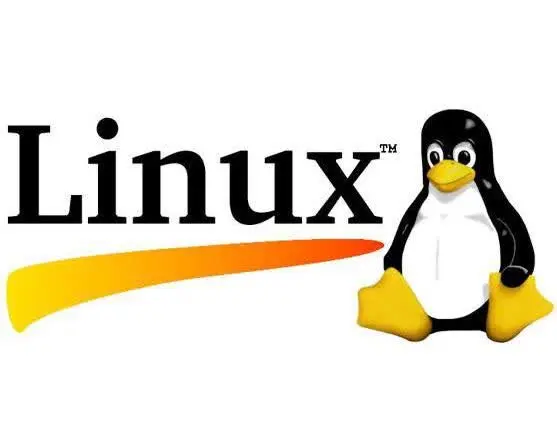 最常用做服务器的系统-linux