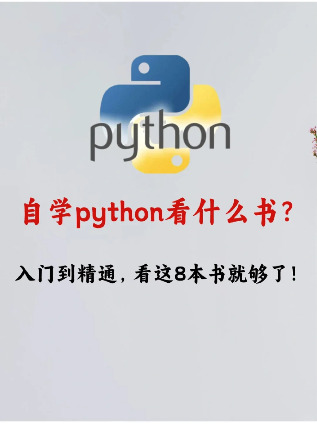 🔥 自学Python必看的8本书籍📚推荐‼️