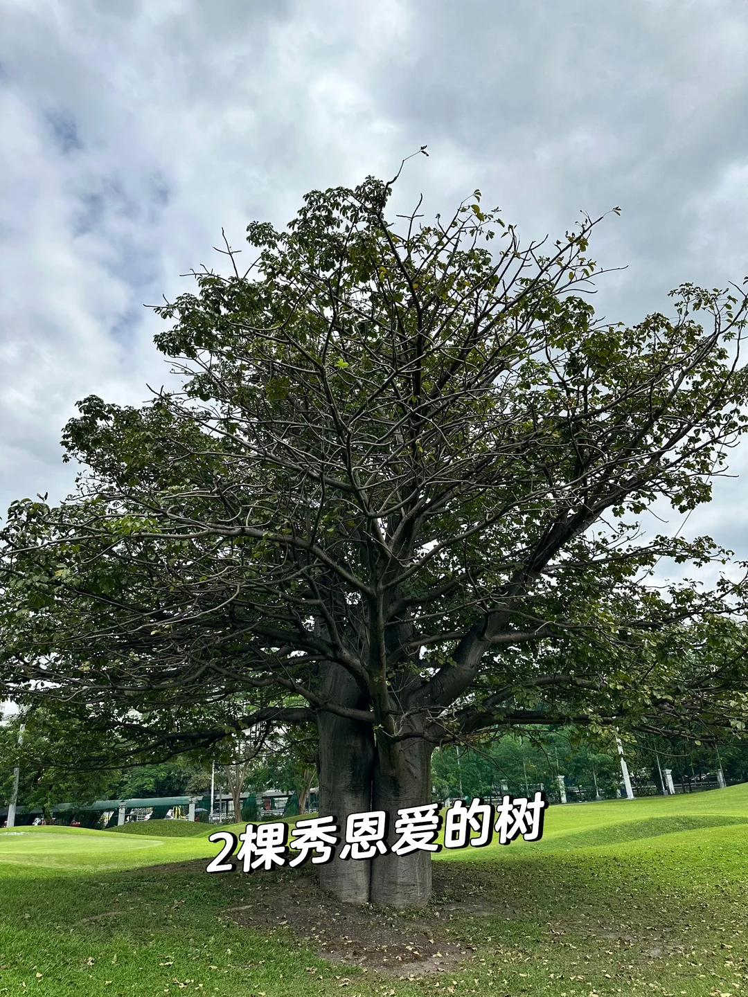 马尼拉最便宜的球场之一:王城高尔夫俱乐部