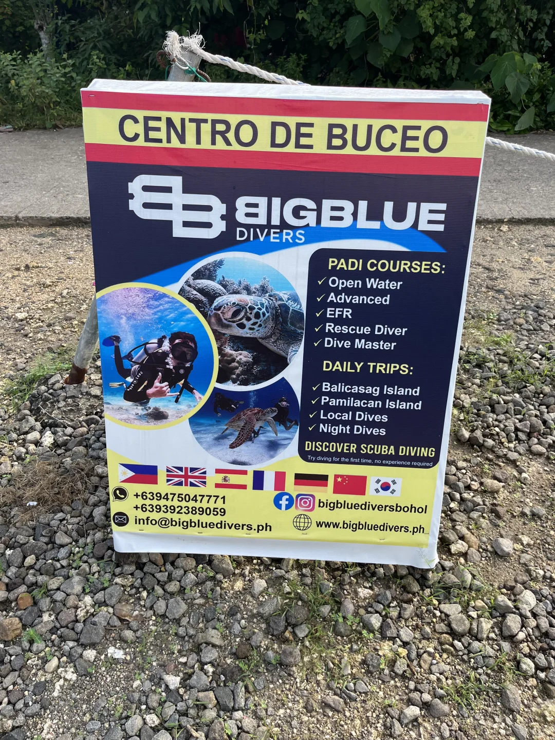 薄荷岛 潜店分享