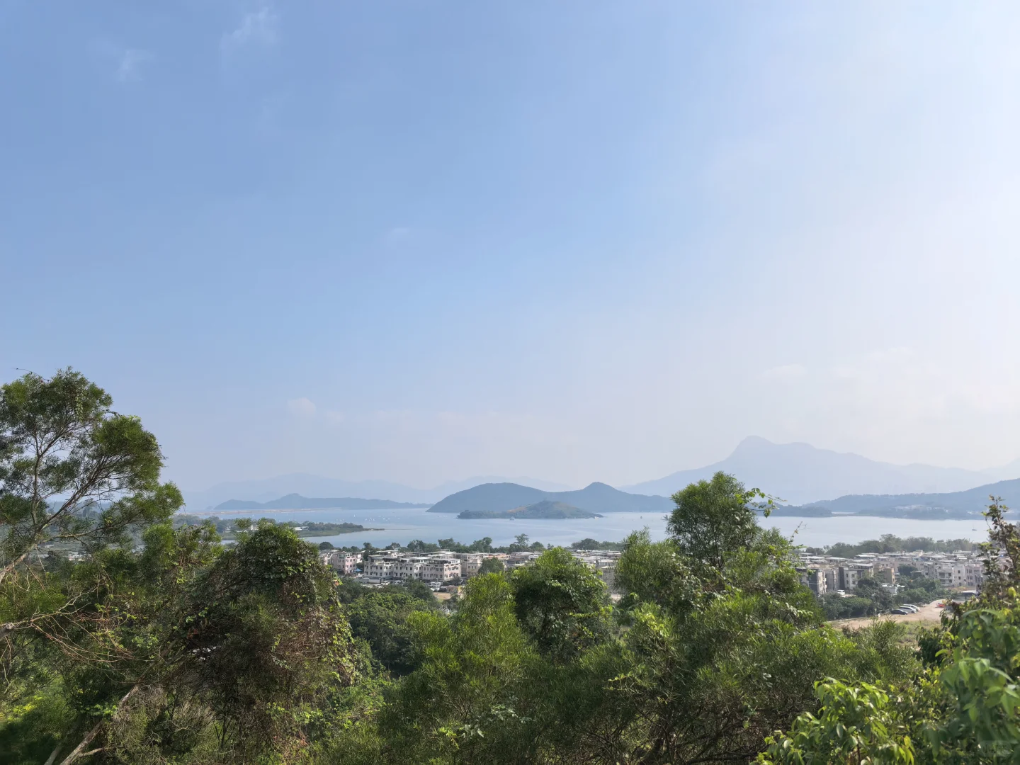 香港慈山寺参观攻略