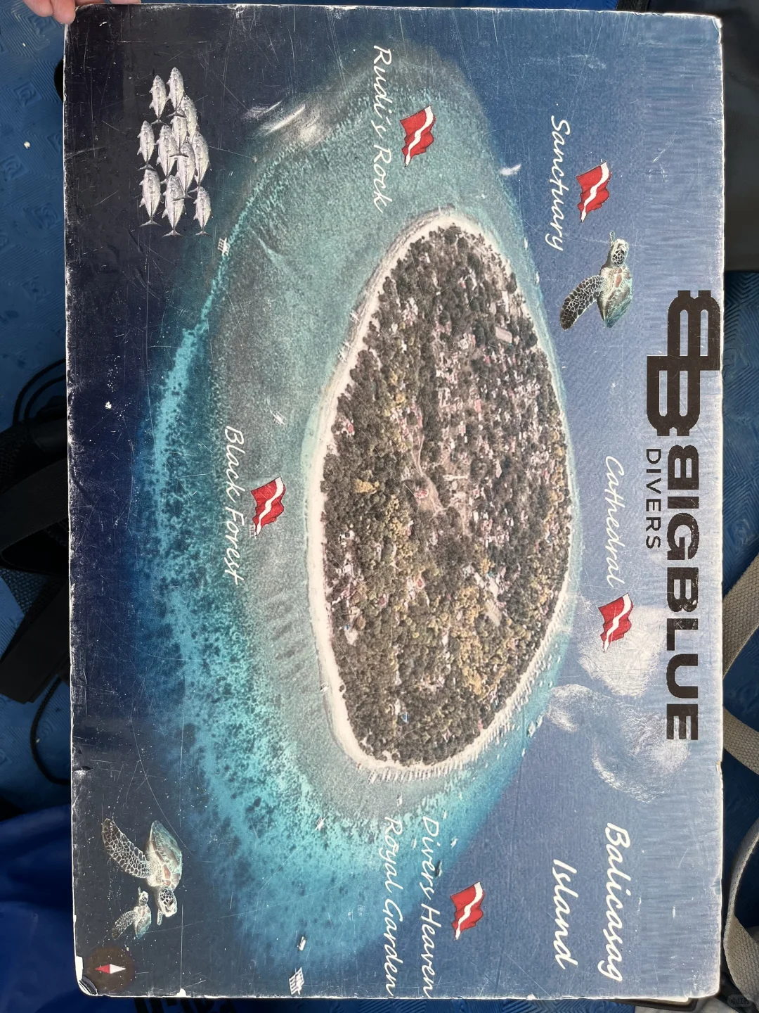 薄荷岛 潜店分享