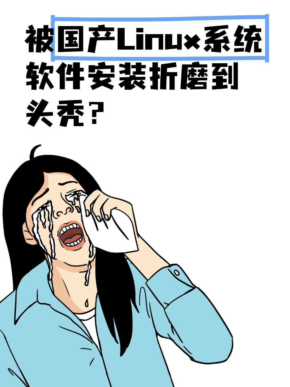 💻✨ Linux用户必看！宝藏级应用商店啊