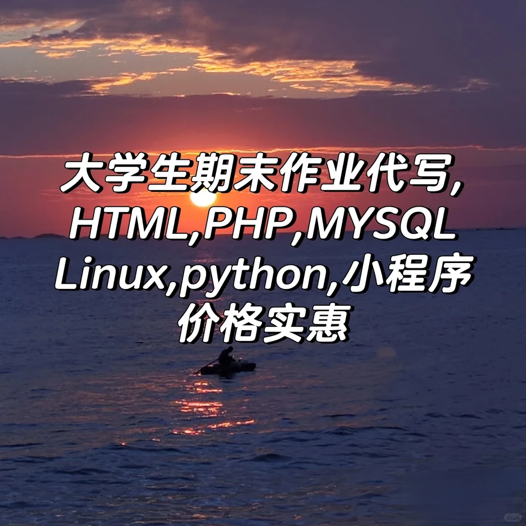 大学生作业代写