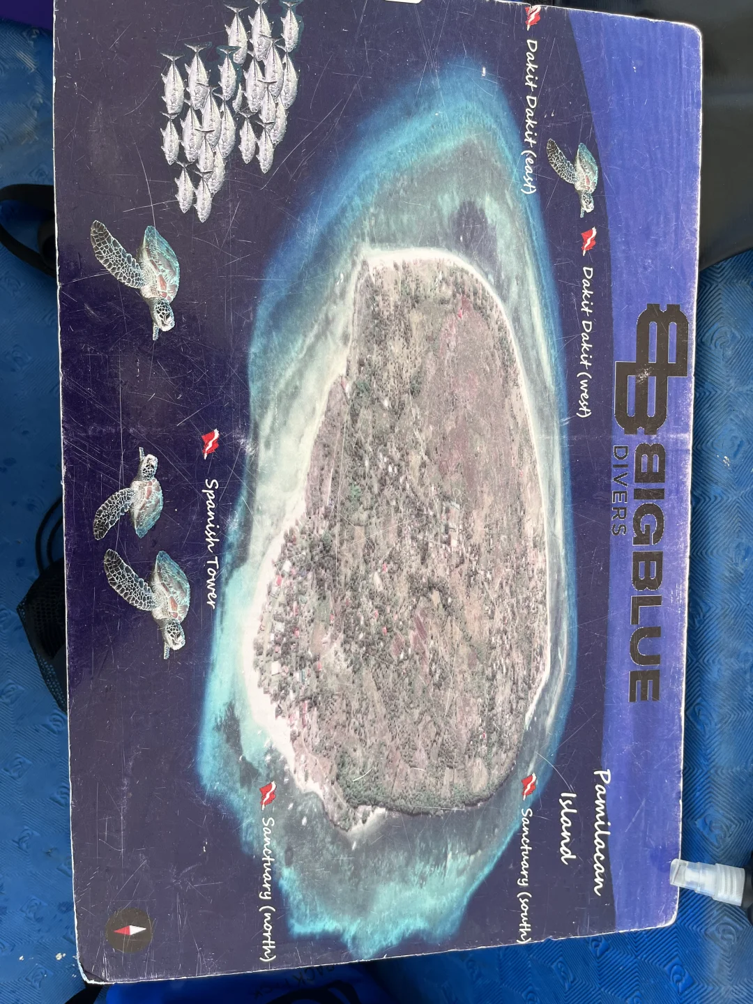 薄荷岛 潜店分享