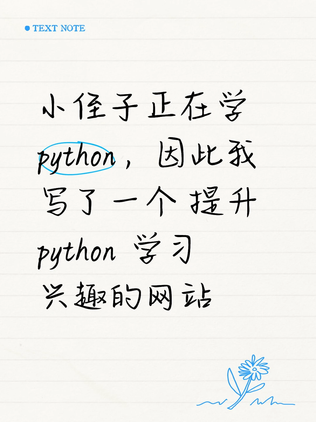 现在的小孩都学 Python 吗？