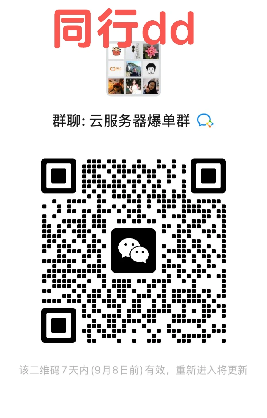 正在群聊的云服务器同学