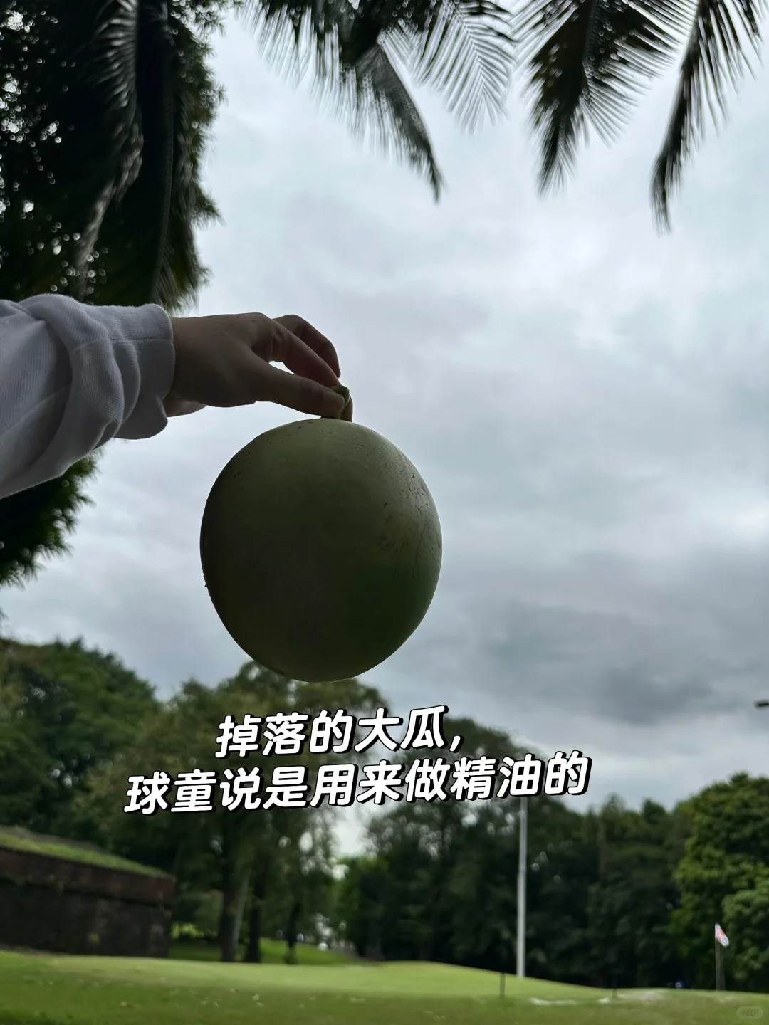 马尼拉最便宜的球场之一:王城高尔夫俱乐部