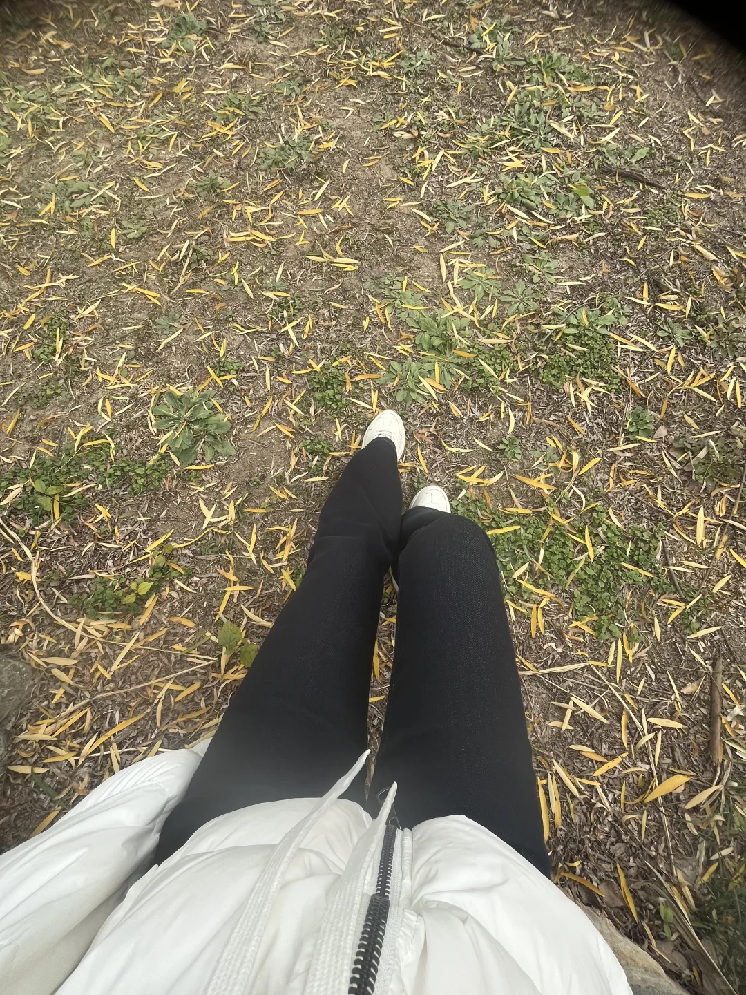 Urgently seeking remote workers