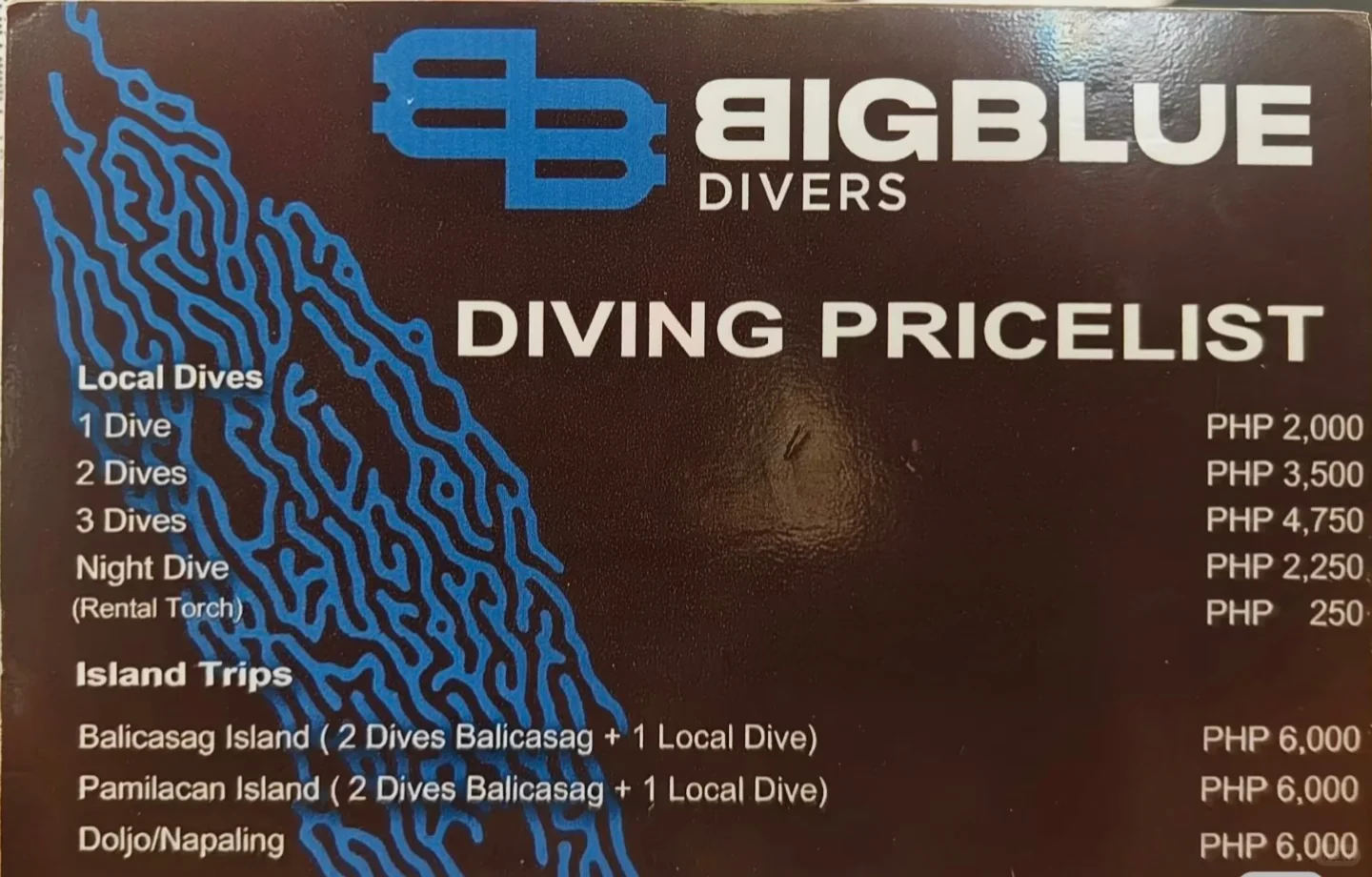 薄荷岛 潜店分享