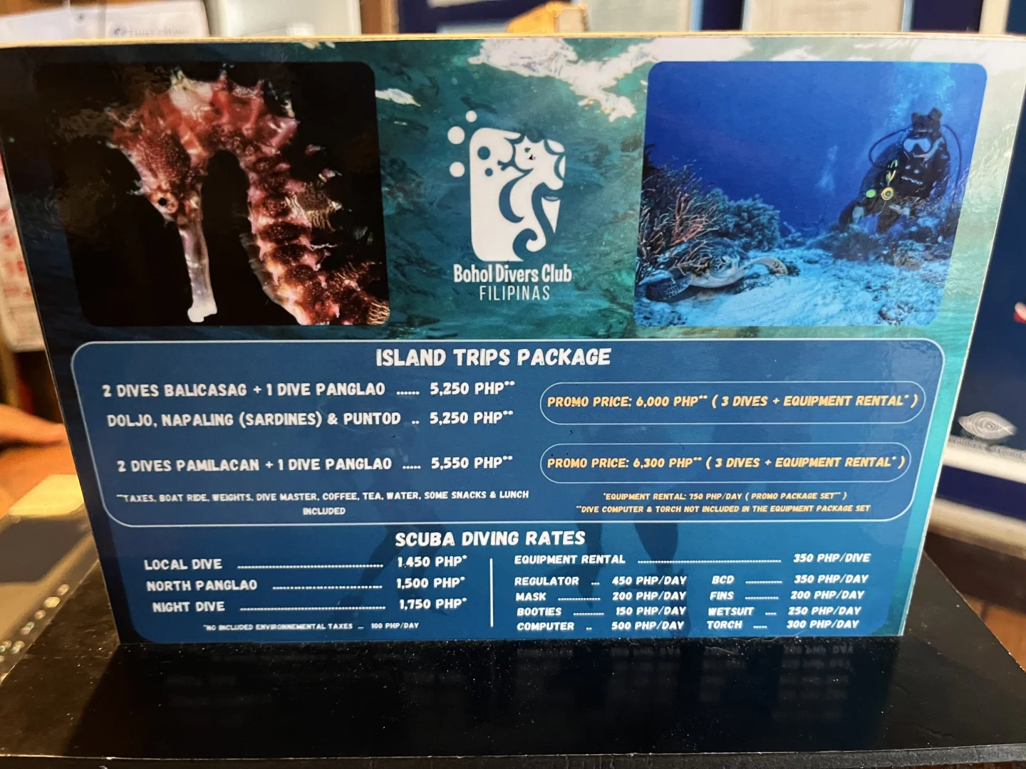 薄荷岛 潜店分享