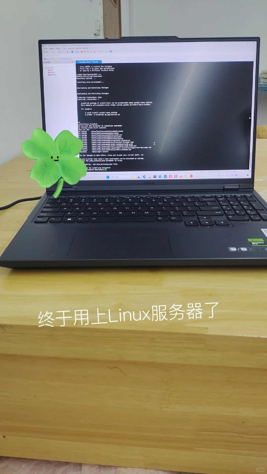 用上Linux服务器了!