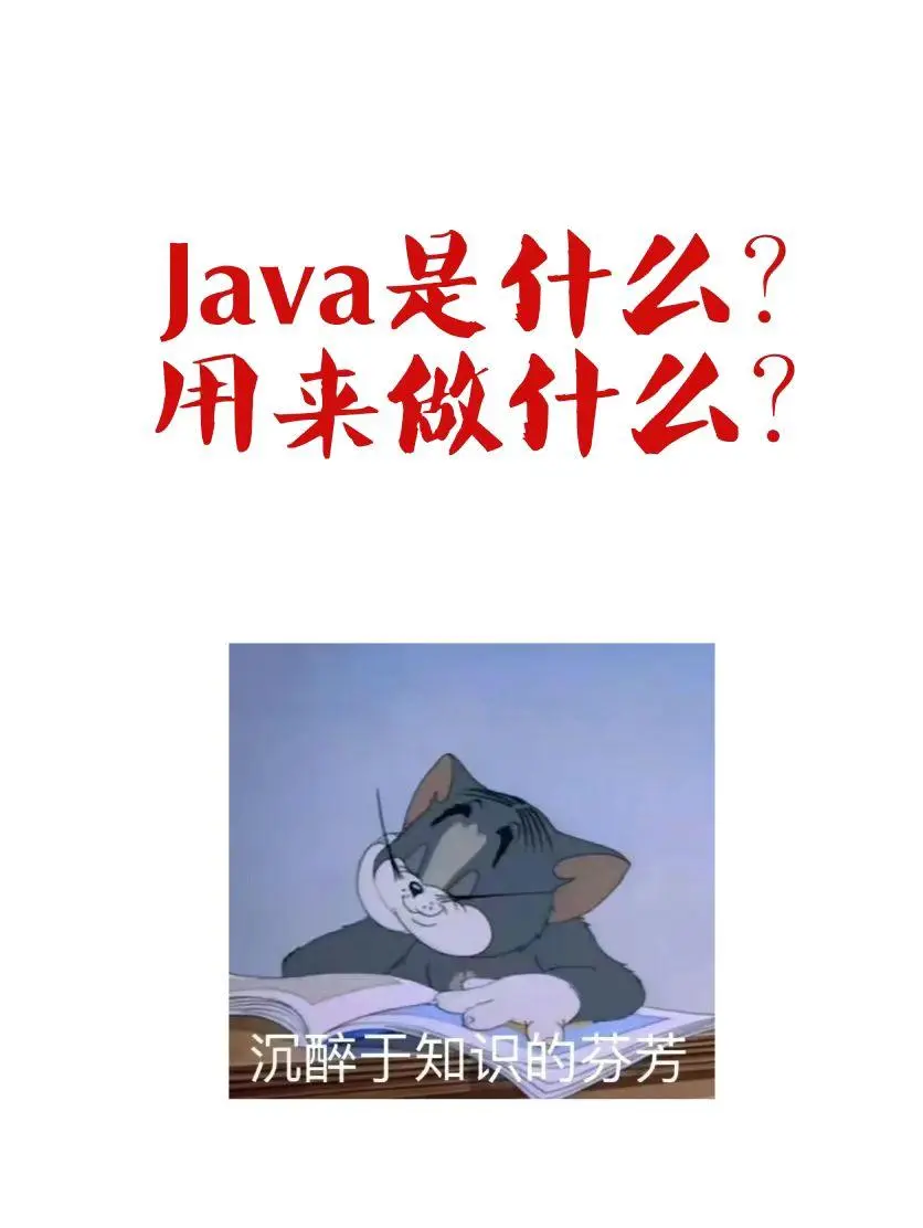 Java是什么，用来做什么？