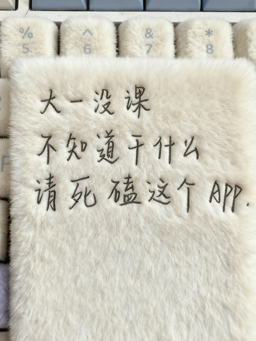 大一没课不知道干什么，请死磕这个App！