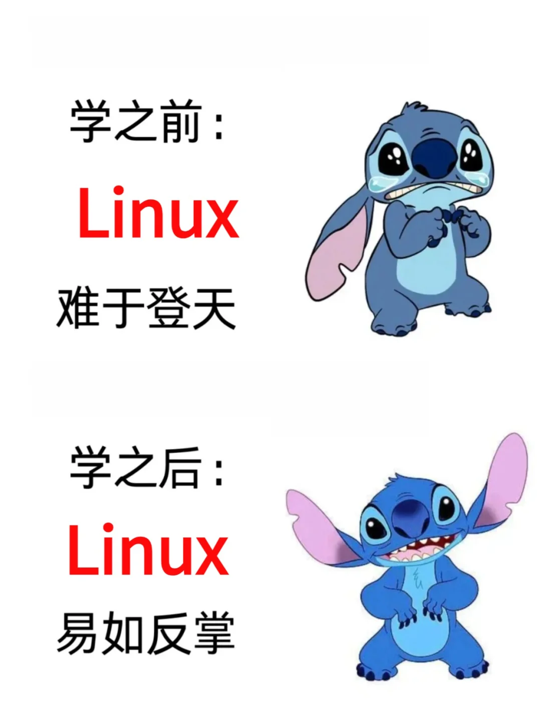 哭了😭才知道原来Linux得这么学🔥