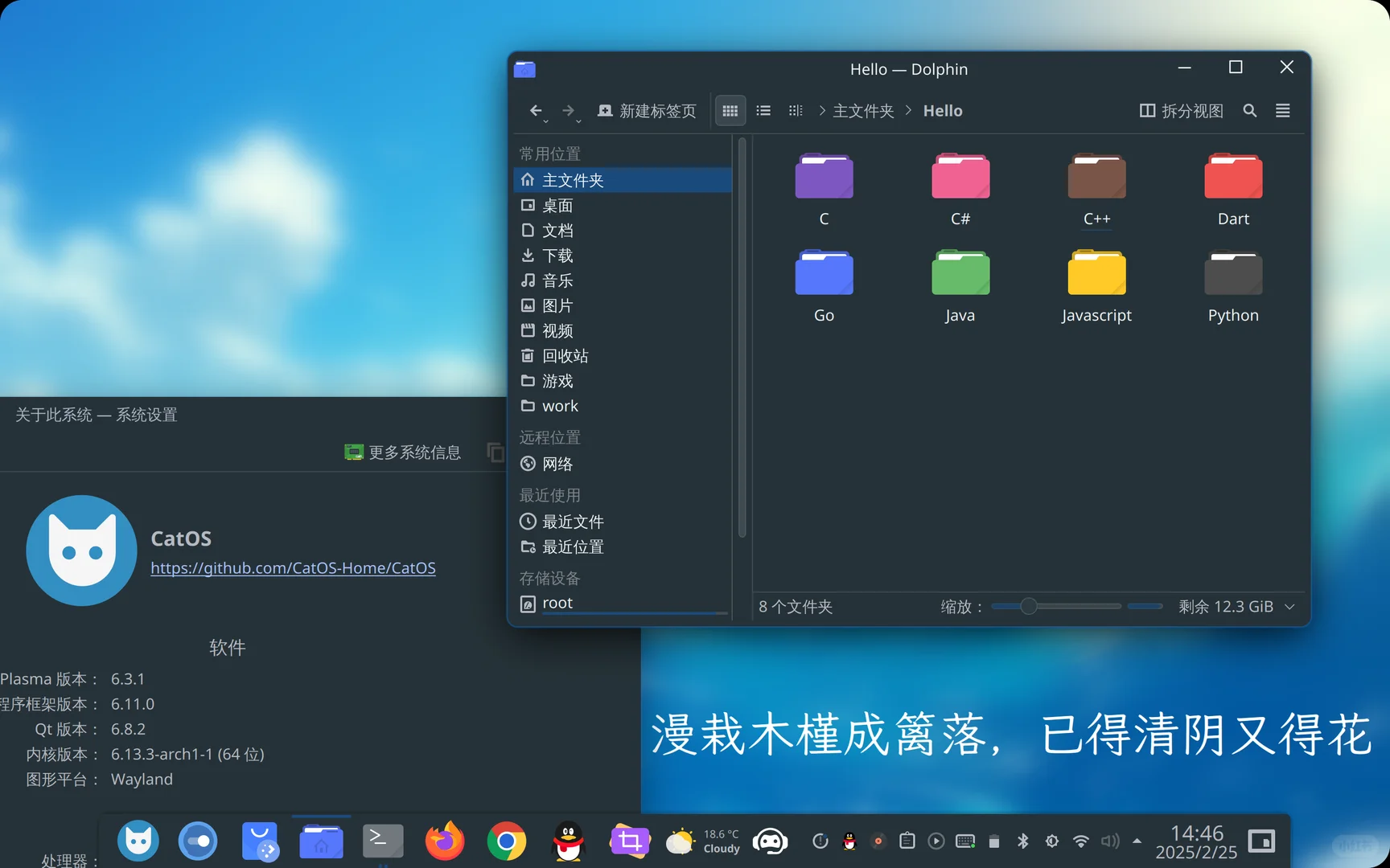 2025年的Linux桌面长这样？