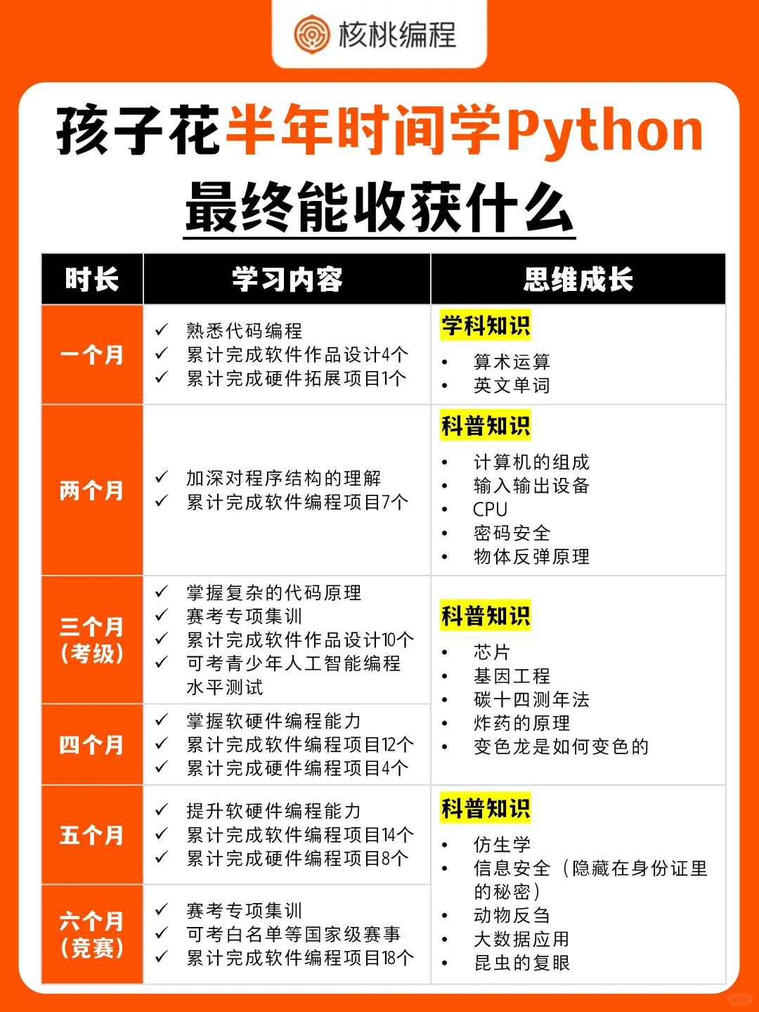 半年Python学习,孩子收获远超想象!🚀