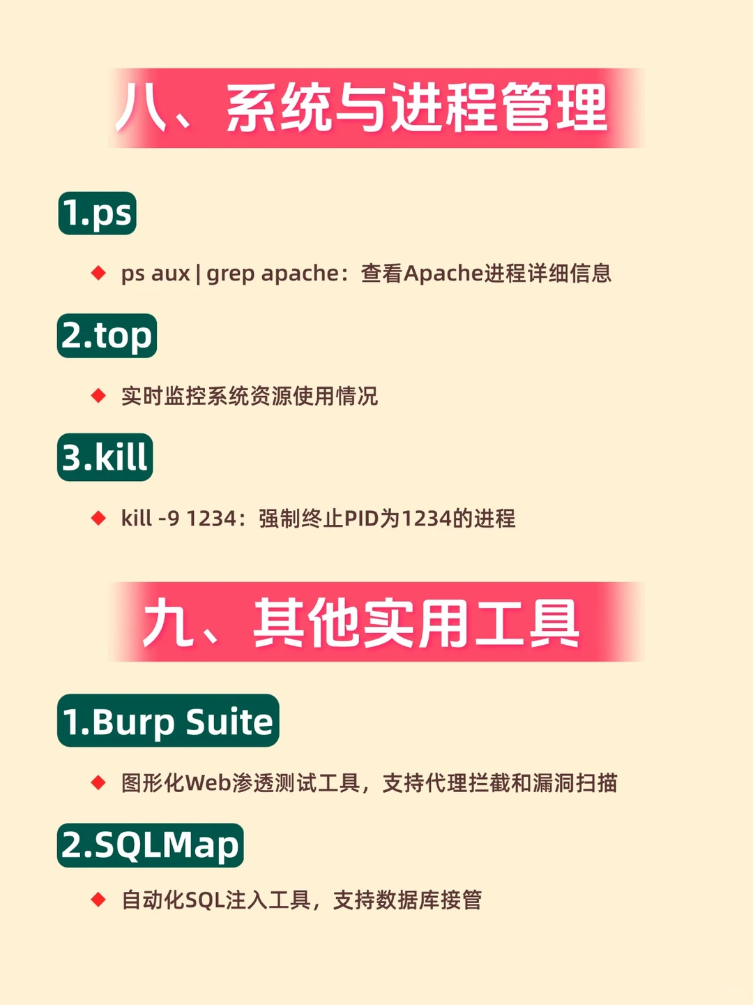 黑客都在背着你用的200个Kali linux命令符