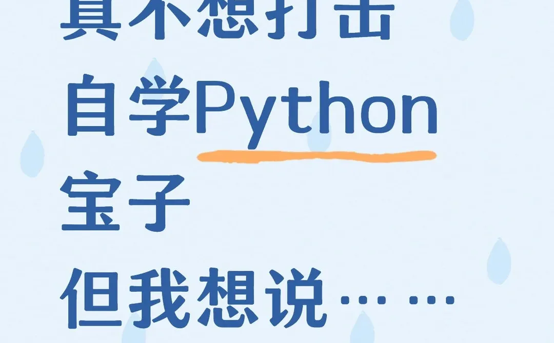 假如你从12月开始学Python………